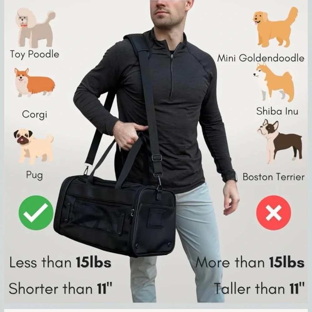 Citrusy Stylish Blue Small Dog Travel Carrier Car Seat